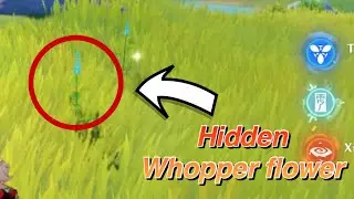 How to detect hidden Whopperflowers