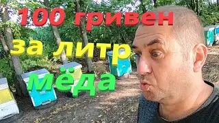 ЦЕНА МЁДА 100 ГРИВЕН ЗА ЛИТР... Я В ШОКЕ/ А ПО ЧЁМ БЫ ВЫ КУПИЛИ МЁД, ЕСЛИ БЫ НЕ ДЕРЖАЛИ ПЧЁЛ..?
