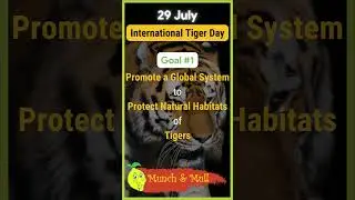 Why an International Tiger Day 🐯 Global Tiger Day 2023 🐅