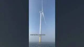 Fishing Near GIANT Ocean Windmills 
