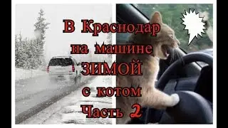 Поездка в КРАСНОДАР на машине ЗИМОЙ Из ЕКАТЕРИНБУРГА в КРАСНОДАР Часть2 Из зимы в весну