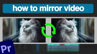 How to Mirror a Video Clip in Adobe Premiere Pro \ Mirror video in premiere pro - Full Guide