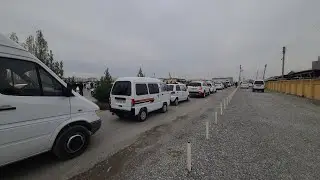 sotilgan moshinalardi narxini bilamiz