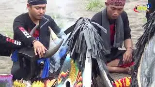 Jaranan Gangsa Manik Perang celenk live Kolwaru Jogja