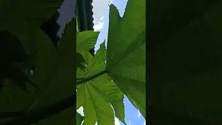С меня хватит! 🤪