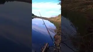 Каждый заброс промах. У кого такое бывало? Ловля щуки на спиннинг. 