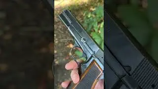 Kareen 9mm #shorts