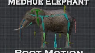 Medhue Elephant & Unity Root Motion