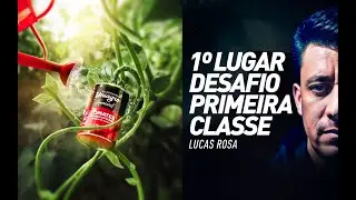APRENDA PHOTOSHOP e crie oportunidades em sua vida