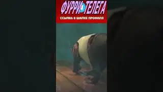 Братишка, Отстань От Нас - Зверополис - Shorts
