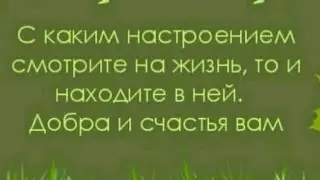 Посиделки просто и с ложно