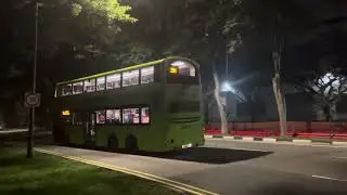 251