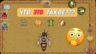 Pocket Ants | Это что такое??? | Я просто зашёл в улик