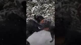 Настоящая дружба