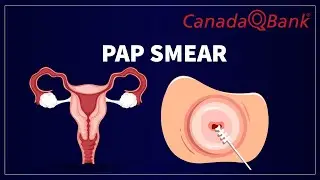 Pap Smear