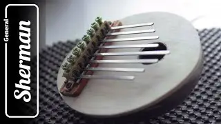 Coconut kalimba (thumb piano) 