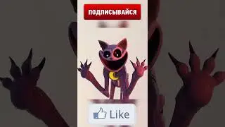 DogDay побил CatNapa 