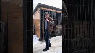 Послушная собака за 1 час.