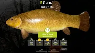 ПОЙМАЛ РЫБУ ЛИНЬ НА 2.500КГ И ЗАФАРМИЛ СЕРЕБРА! ПОЛУЧИЛ НОВЫЙ УРОВЕНЬ! РУССКАЯ РЫБАЛКА