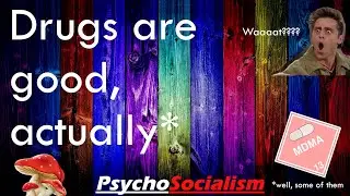 Psychedelics, Therapy and The Future
