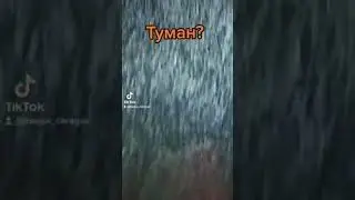 Туман.Завод