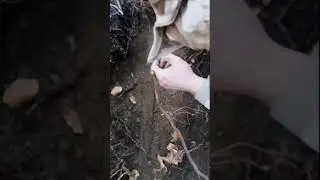 Адреналин зашкаливал когда поняли что нашли ... 