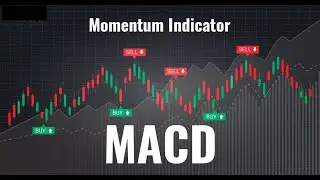 Индикатор MACD настройки стратегии