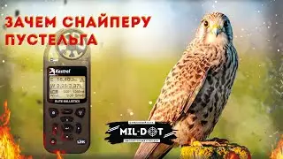 Зачем снайперу пустельга
