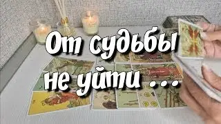 ‼️Вы даже не Представляете💯% От чего Вам не уйти💯✨️таро расклад 