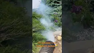 Обработка от комаров🤓 и по традиции после дождь🤦‍♂️🤦‍♂️🤦‍♂️