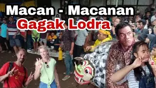 Macan - Macanan Jaranan Gagak Lodra Live Dsn Panggang Desa Kampung Anyar Gelagah Bwi