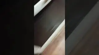 471/ Попытка отравить чихуахуа👹 Отравление животного уголовно наказуемо ст 499.УКУ...