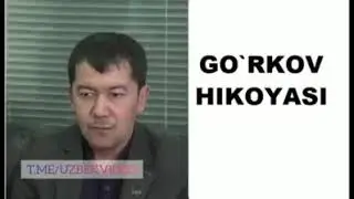 Gorkov Hikoyasi