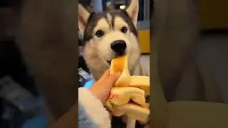 История про делёжку хлеба 😁😋