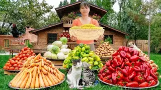Harvesting Bitter Gourd Goes to the market sell - Farm life | New Free Bushcraft