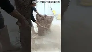 I cleaned the world's most disgusting carpet in seconds.