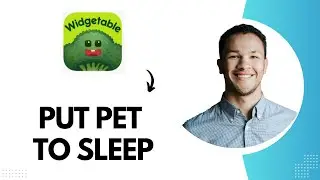 How to Put Pet to Sleep in Widgetable (Best Method)