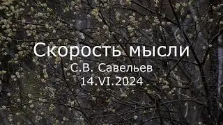 С.В. Савельев - Скорость мысли