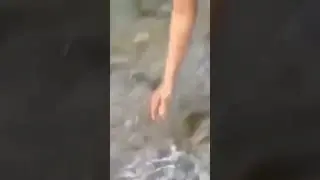 Mau seneng tapi gajadi 