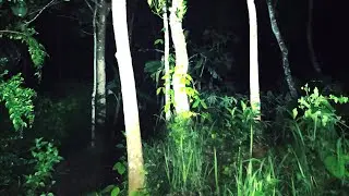 ABAIKAN SAJA HANTU TLEMBUK MALAM INI