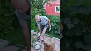 Дубовая колода против берёзовой! 😀 👍  