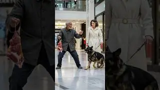 Kung Fu Grandpa Nearly Beats the Crap Out of a German Shepherd!# #kungfu# #wushufight#Shepherd
