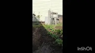 летние видео ( часть 1)