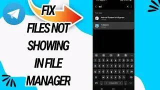 How To Fix And Solve Files Not Showing In File Manager On Telegram App