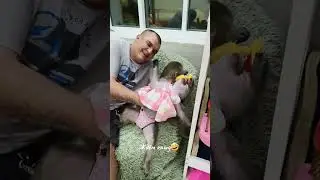 Гамадрилки ждут кашу😁