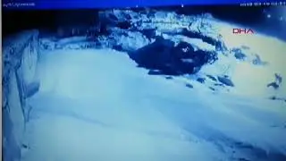 Алабай против 4 волков