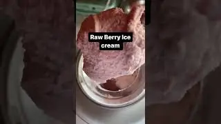 Raw Berry Ice Cream 