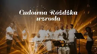 Kolędy dominikańskie || Cudowna Różdżka wzrosła