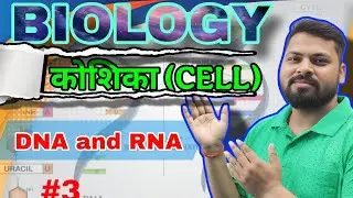 DNA structure and function || Difference between DNA and RNA || structure of DNA |Where is dna & rna