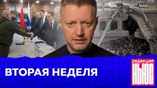 Редакция. News: вторая неделя